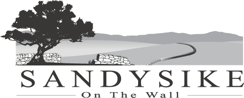 sandysike on the wall logo