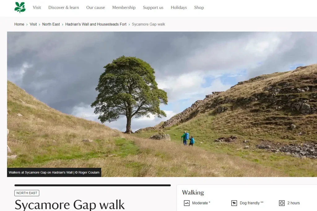 Sycamore Gap